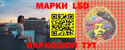 СК Владивосток