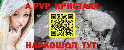 СК Владивосток