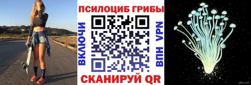 закладка  Бор  Галлюциногенные грибы ЛСД 