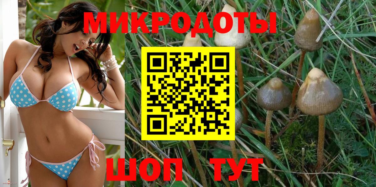 Галлюциногенные грибы мицелий Бор